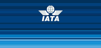 Qué es IATA